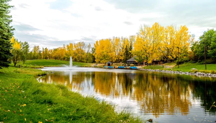 Ground-level view of Bower Ponds