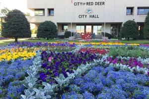 Ground-level view of City Hall Park