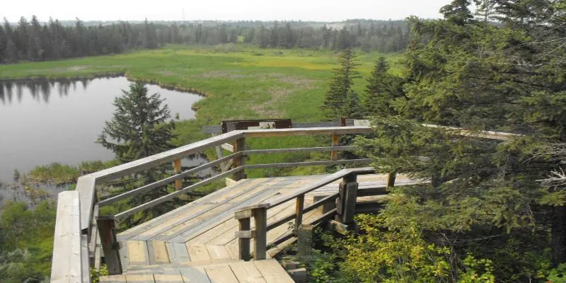 Ground-level view of Gaetz Lakes Sanctuary